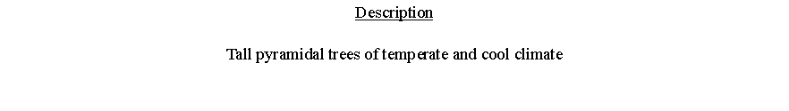 Text Box: DescriptionTall pyramidal trees of temperate and cool climate 