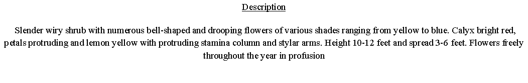 Text Box: Description Slender wiry shrub with numerous bell-shaped and drooping flowers of various shades ranging from yellow to blue. Calyx bright red, petals protruding and lemon yellow with protruding stamina column and stylar arms. Height 10-12 feet and spread 3-6 feet. Flowers freely throughout the year in profusion 