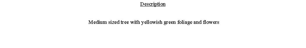 Text Box: Description Medium sized tree with yellowish green foliage and flowers