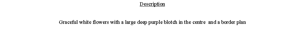 Text Box: DescriptionGraceful white flowers with a large deep purple blotch in the centre  and a border plan 