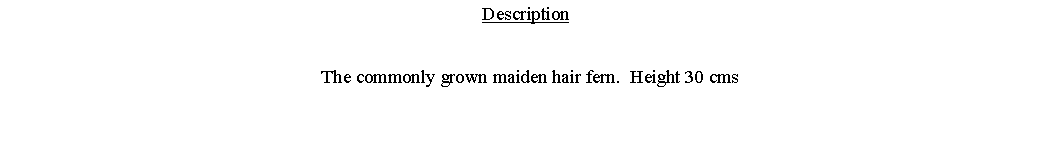 Text Box: Description  The commonly grown maiden hair fern.  Height 30 cms 