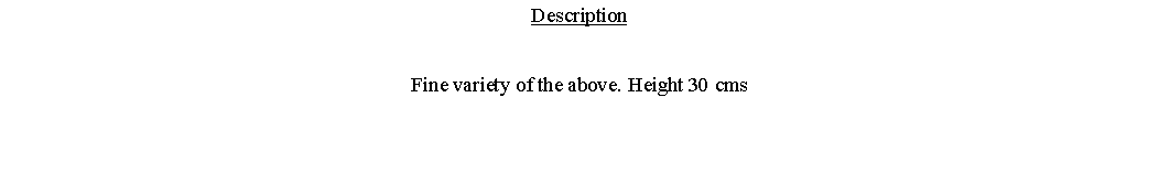 Text Box: DescriptionFine variety of the above. Height 30 cms 