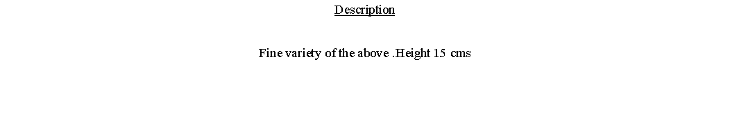 Text Box: DescriptionFine variety of the above .Height 15 cms 