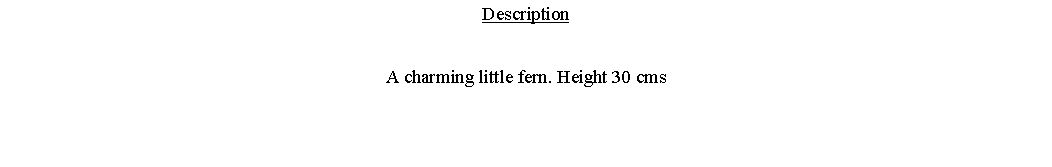 Text Box: DescriptionA charming little fern. Height 30 cms 