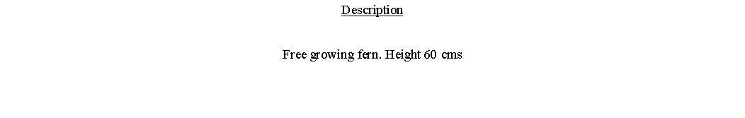 Text Box: DescriptionFree growing fern. Height 60 cms 