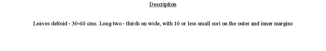 Text Box: DescriptionLeaves deltoid - 30-60 cms. Long two - thirds on wide, with 10 or less small sori on the outer and inner margins 