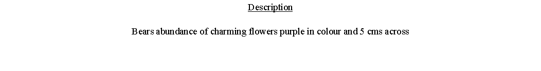 Text Box: DescriptionBears abundance of charming flowers purple in colour and 5 cms across 