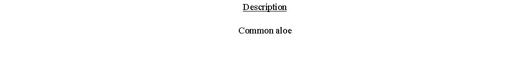 Text Box: DescriptionCommon aloe 