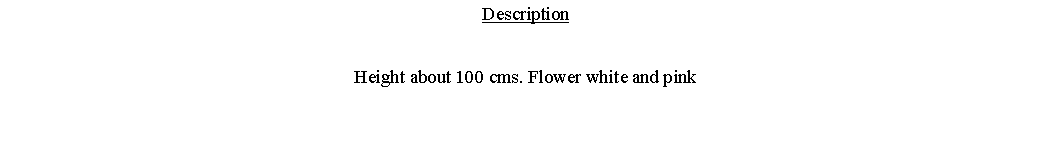 Text Box: DescriptionHeight about 100 cms. Flower white and pink 