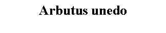 Text Box: Arbutus unedo 