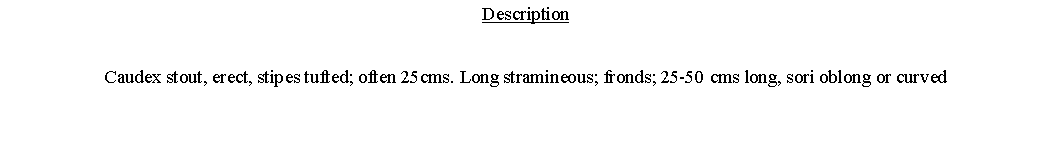 Text Box: DescriptionCaudex stout, erect, stipes tufted; often 25cms. Long stramineous; fronds; 25-50 cms long, sori oblong or curved 