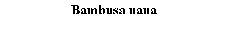 Text Box: Bambusa nana 