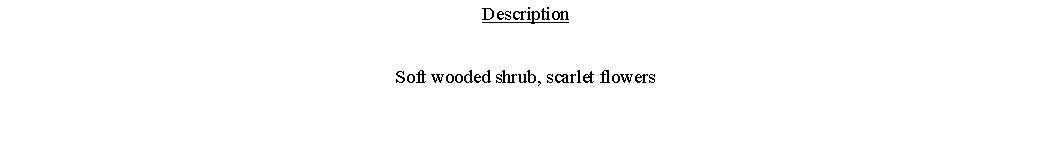Text Box: DescriptionSoft wooded shrub, scarlet flowers 