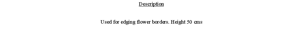 Text Box: DescriptionUsed for edging flower borders. Height 50 cms 