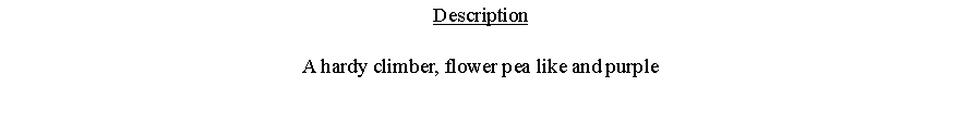 Text Box: DescriptionA hardy climber, flower pea like and purple  