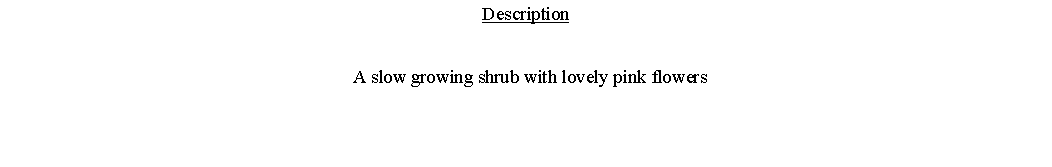 Text Box: Description  A slow growing shrub with lovely pink flowers 
