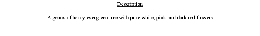 Text Box: DescriptionA genus of hardy evergreen tree with pure white, pink and dark red flowers 