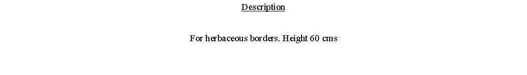 Text Box: DescriptionFor herbaceous borders. Height 60 cms 