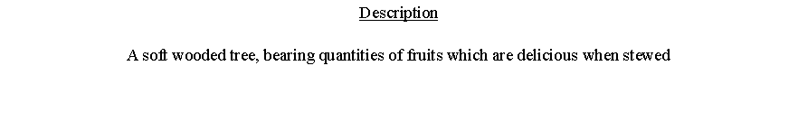 Text Box: DescriptionA soft wooded tree, bearing quantities of fruits which are delicious when stewed 