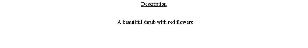 Text Box: Description  A beautiful shrub with red flowers 