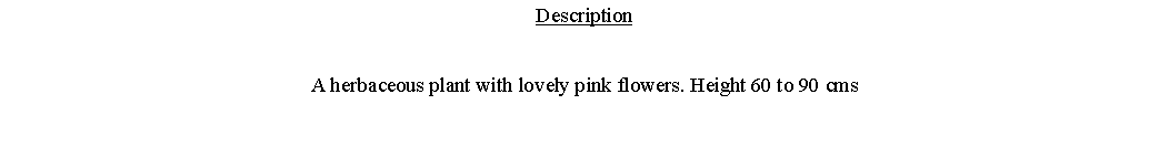 Text Box: DescriptionA herbaceous plant with lovely pink flowers. Height 60 to 90 cms 