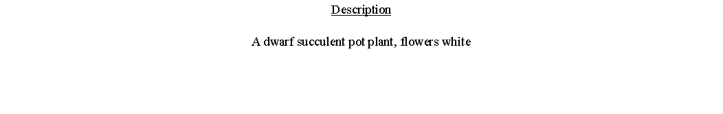 Text Box: DescriptionA dwarf succulent pot plant, flowers white 