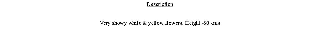 Text Box: DescriptionVery showy white & yellow flowers. Height -60 cms 