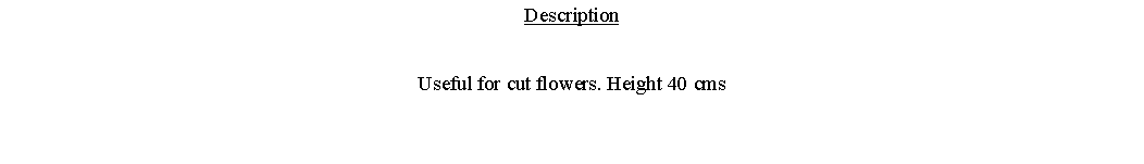 Text Box: DescriptionUseful for cut flowers. Height 40 cms 