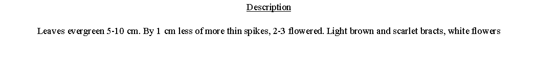 Text Box: DescriptionLeaves evergreen 5-10 cm. By 1 cm less of more thin spikes, 2-3 flowered. Light brown and scarlet bracts, white flowers 