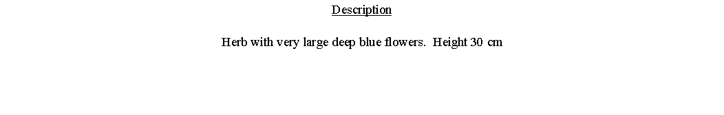 Text Box: DescriptionHerb with very large deep blue flowers.  Height 30 cm 