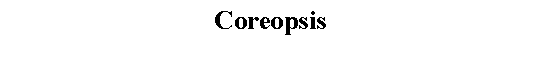 Text Box: Coreopsis 