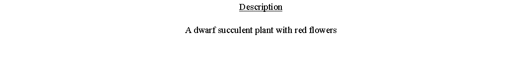 Text Box: DescriptionA dwarf succulent plant with red flowers 