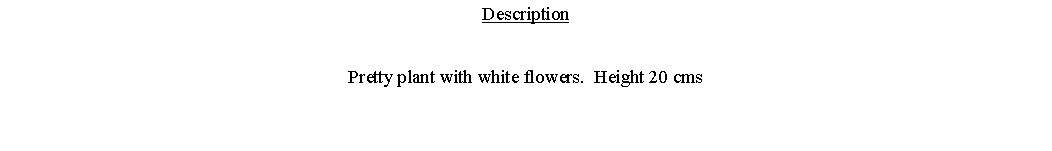 Text Box: DescriptionPretty plant with white flowers.  Height 20 cms 