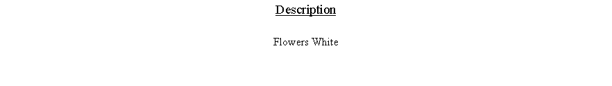 Text Box: DescriptionFlowers White 