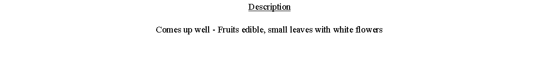 Text Box: DescriptionComes up well - Fruits edible, small leaves with white flowers 