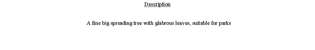Text Box: Description  A fine big spreading tree with glabrous leaves, suitable for parks 