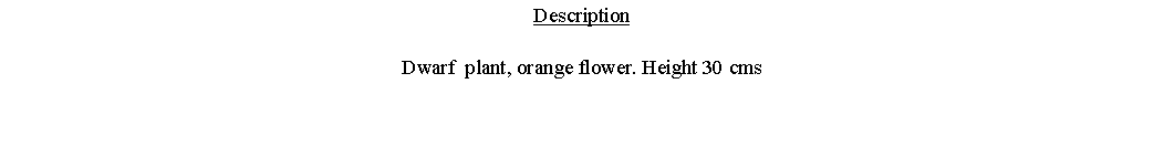 Text Box: DescriptionDwarf  plant, orange flower. Height 30 cms 