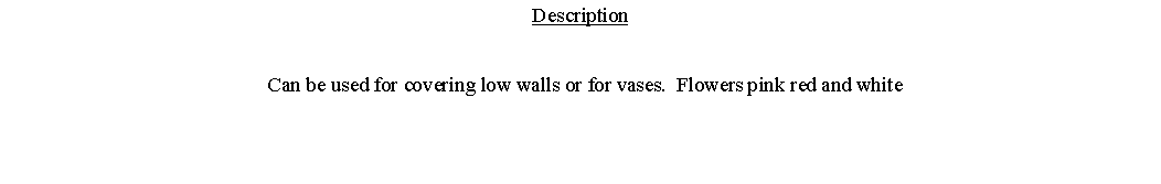Text Box: Description  Can be used for covering low walls or for vases.  Flowers pink red and white 