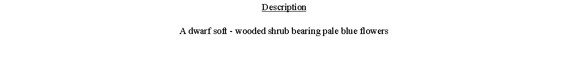 Text Box: DescriptionA dwarf soft - wooded shrub bearing pale blue flowers 