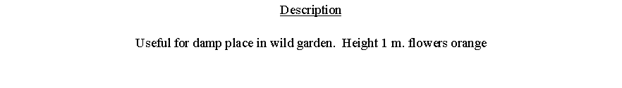 Text Box: DescriptionUseful for damp place in wild garden.  Height 1 m. flowers orange 