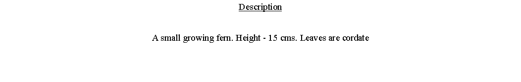 Text Box: DescriptionA small growing fern. Height - 15 cms. Leaves are cordate 