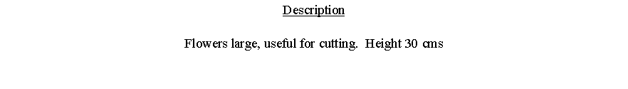 Text Box: DescriptionFlowers large, useful for cutting.  Height 30 cms 