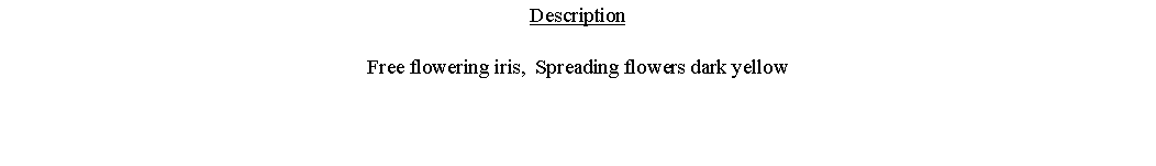 Text Box: DescriptionFree flowering iris,  Spreading flowers dark yellow 