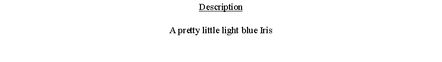 Text Box: DescriptionA pretty little light blue Iris 