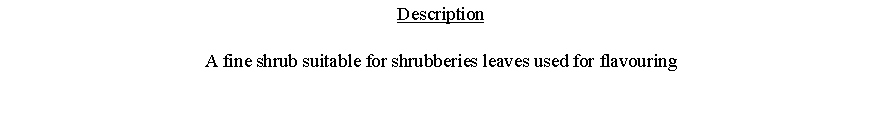 Text Box: DescriptionA fine shrub suitable for shrubberies leaves used for flavouring 