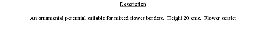 Text Box: DescriptionAn ornamental perennial suitable for mixed flower borders.  Height 20 cms.  Flower scarlet 