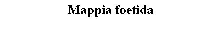 Text Box: Mappia foetida 