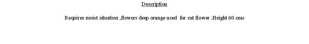 Text Box: DescriptionRequires moist situation ,flowers deep orange used  for cut flower .Height 60 cms 