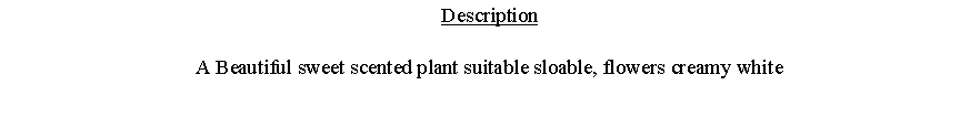 Text Box: DescriptionA Beautiful sweet scented plant suitable sloable, flowers creamy white 