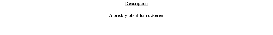 Text Box: DescriptionA prickly plant for rockeries 